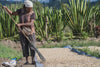 Papua New Guinea - Kending Mill - Natural