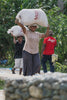 Papua New Guinea - Kending Mill - Natural