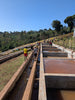 Ethiopia Tagel Alemayehu - Washed
