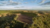 Brazil Fazenda Sucuri - Toriba Caramelo