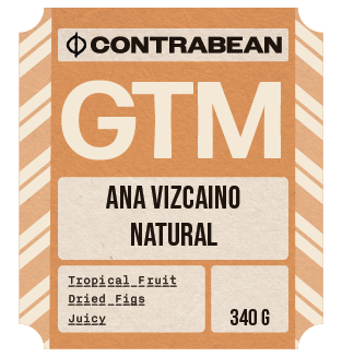 Ana Vizcaino, Finca Esperanza - Natural, Guatemala