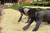 Burundi, Incuti - Washed