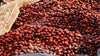 Burundi,Hafi - Natural