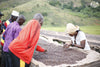 Burundi,Hafi - Natural