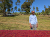 Ethiopia Tagel Alemayehu - Natural (Dry) process