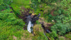 Uganda - Sironko Station, Pure Natural (Mountain Harvest)