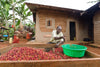 Uganda - Sironko Station, Pure Natural (Mountain Harvest)