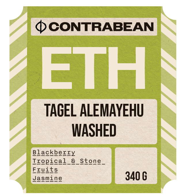 Ethiopia Tagel Alemayehu - Washed