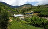 Rwanda - Murundo Kivubelt Peoples' Farm – Lot 1