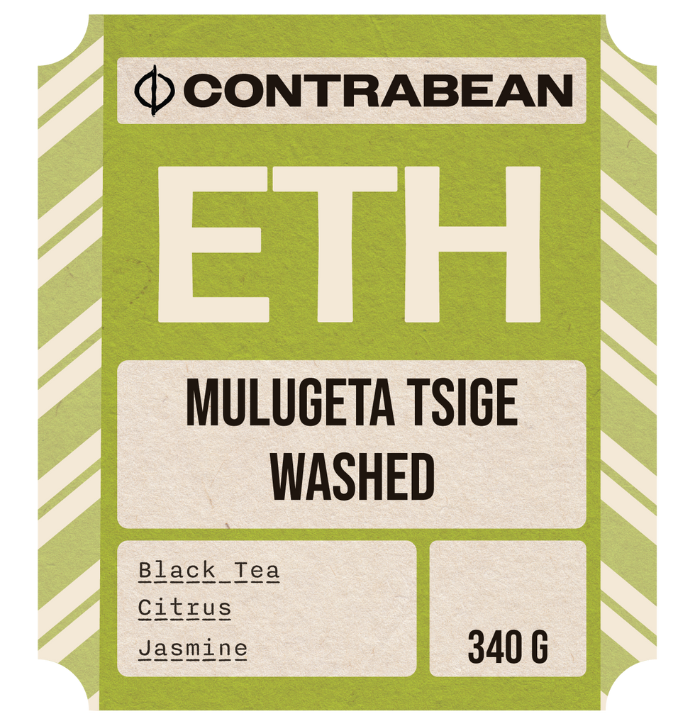 Ethiopia - Mulugeta Tsige - Washed