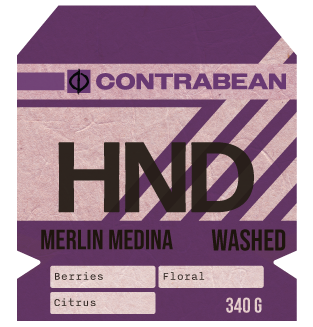 Honduras - Melina Medina - Washed Microlot