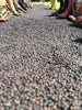 Ethiopia - Nguisse Nare, Setame - Natural