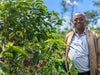 Ethiopia - Nguisse Nare, Setame - Natural