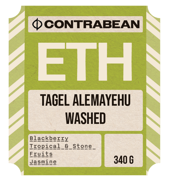 Ethiopia Tagel Alemayehu - Washed